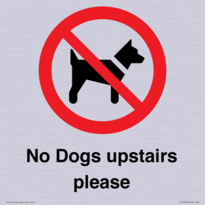 No Dogs upstairs please 